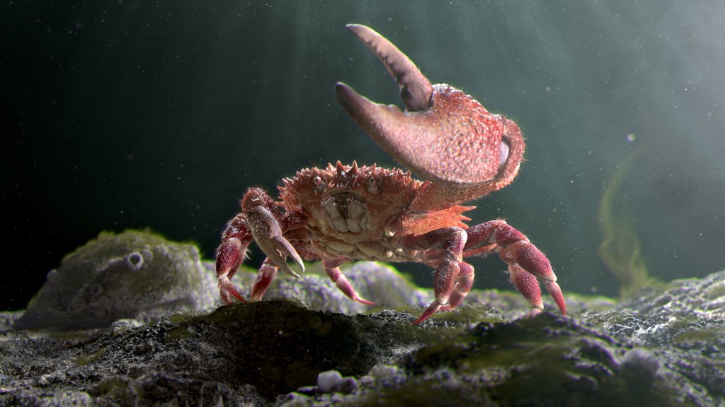 Mr Crab - CG inspiration - Hum3D