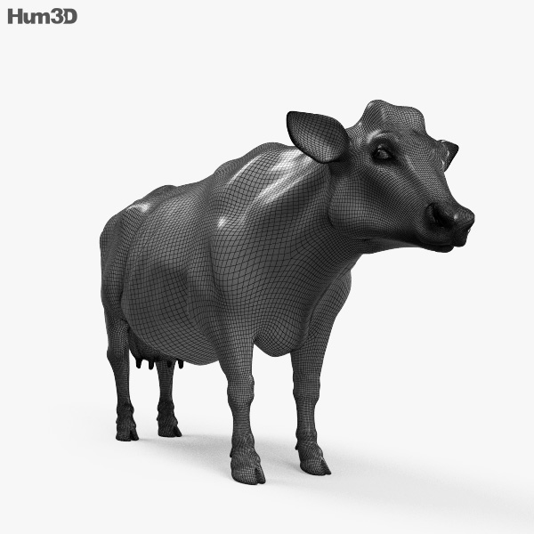 Cow Hd 3d Model Animals On Hum3d