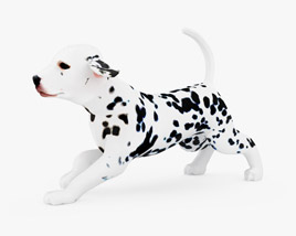 Dalmatian Puppy Low Poly Rigged Animated Modèle 3D