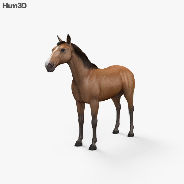 download 3d horse model in photoshop