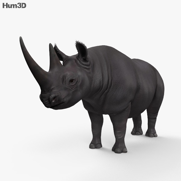  Rhino  3D  Models Download Hum3D