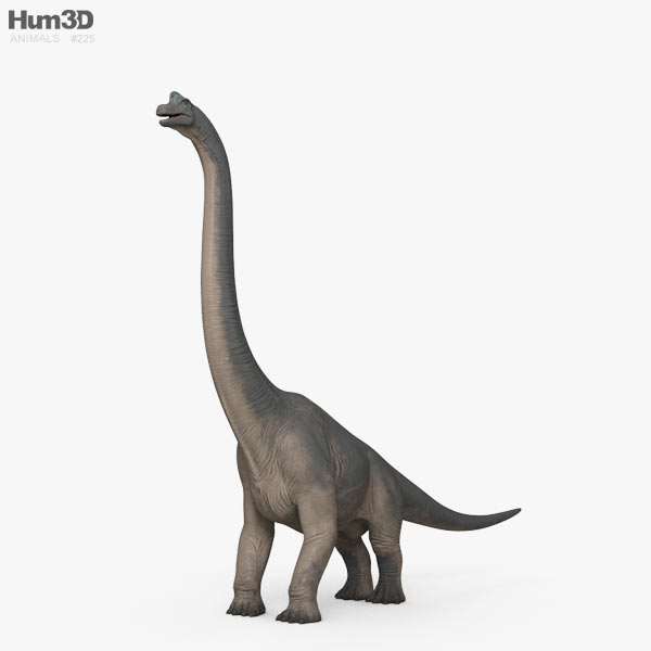 brachiosaurus 3d