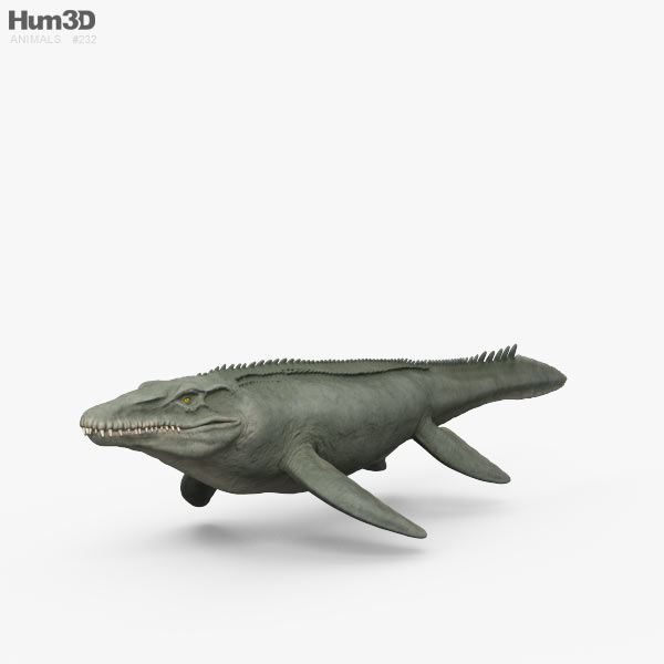 Mosasaurus HD 3D model - Animals on Hum3D