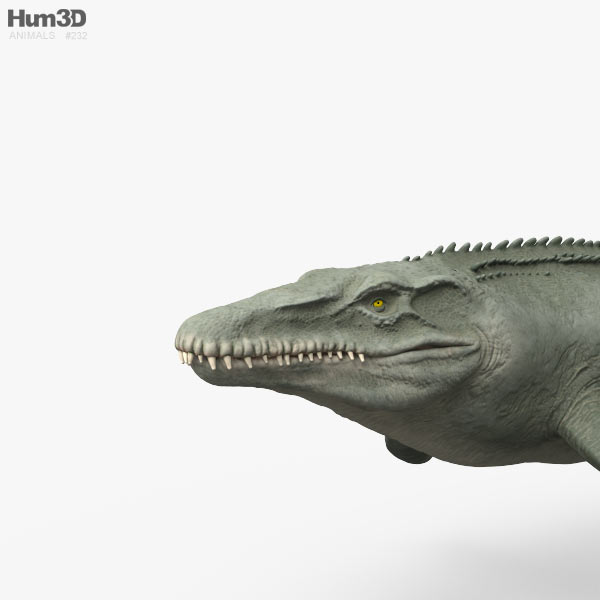 custom mosasaurus