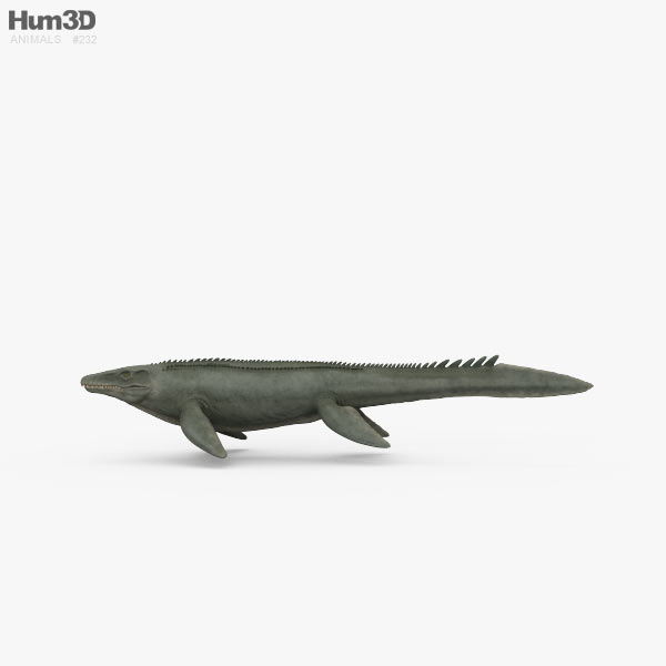 Mosasaurus HD 3D model - Animals on Hum3D