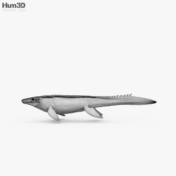 mosasaurus 3d google