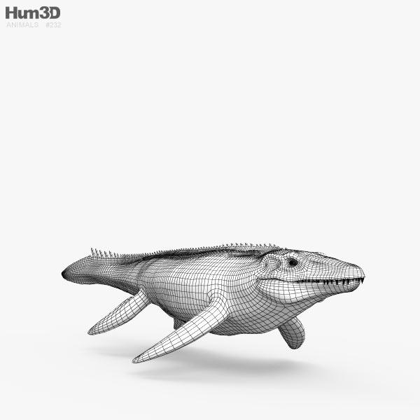 Mosasaurus HD 3D model - Animals on Hum3D