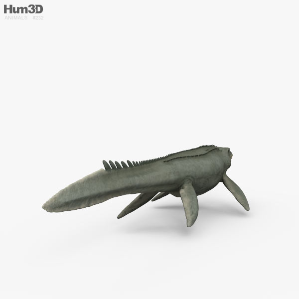 Mosasaurus HD 3D model - Animals on Hum3D