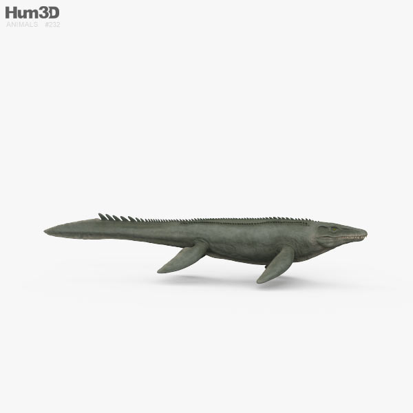 Mosasaurus HD 3D model - Animals on Hum3D