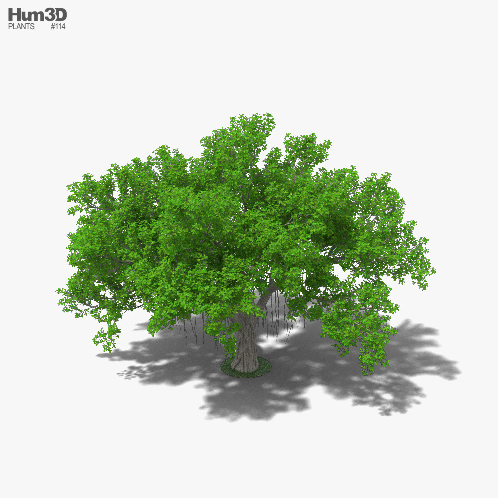 3d banyan tree model free download