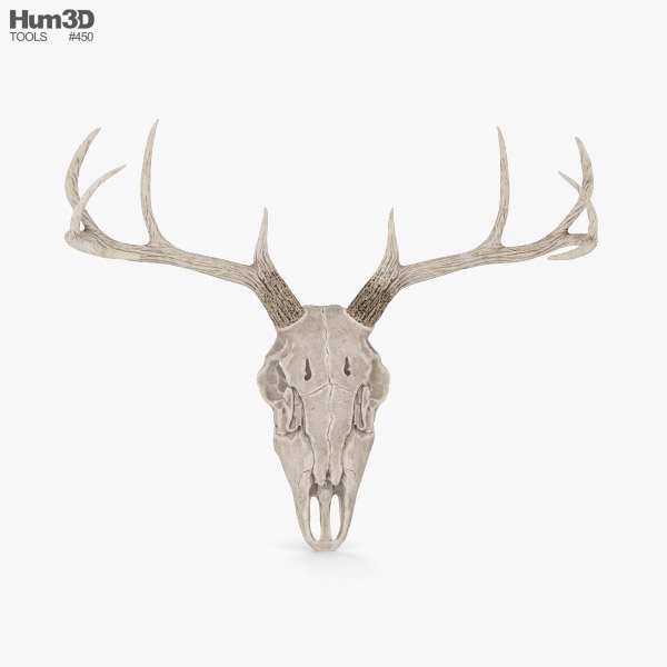 Deer Skull 3d Model Free
