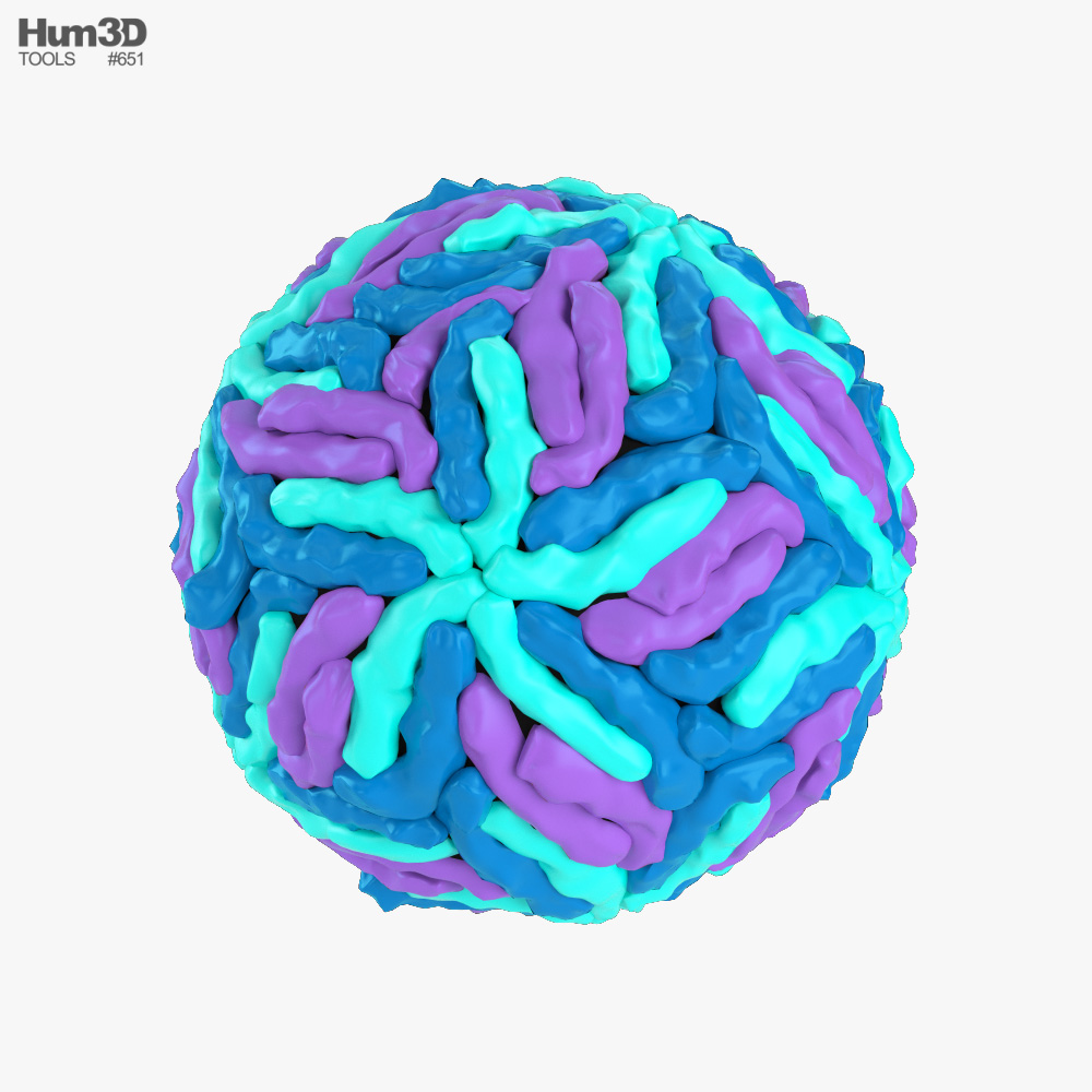 Dengue Virus 3d Model Life And Leisure On Hum3d